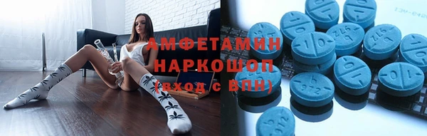 мет Алексин