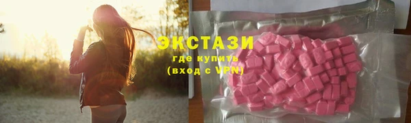 мет Алексин