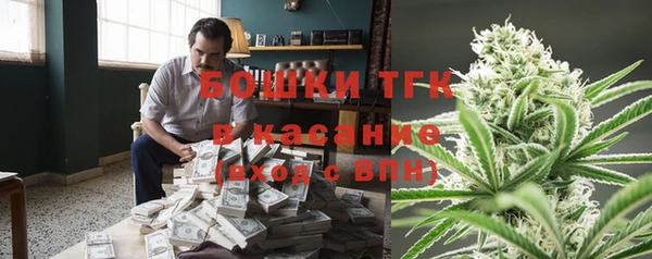 мет Алексин