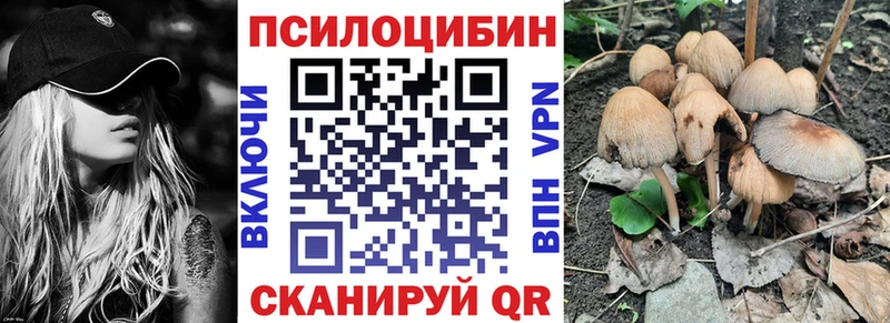 Псилоцибиновые грибы мицелий  Купить где  Астрахань 