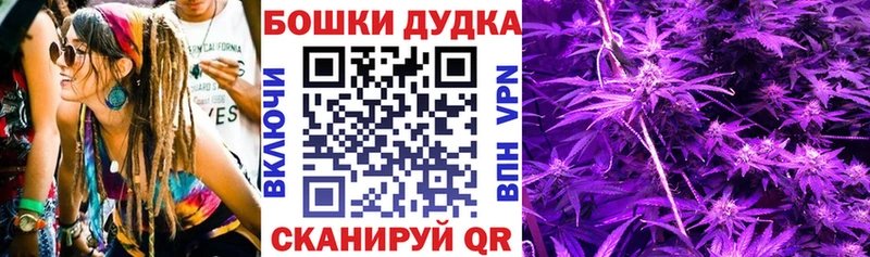 Купить закладки  Астрахань  Бошки Шишки Amnesia 